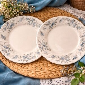 Vintage Myott “Sound of Music” Dinner Plates Set of 2 Blue Floral England-Rare